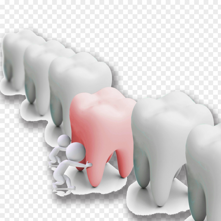 Dental Poster PNG