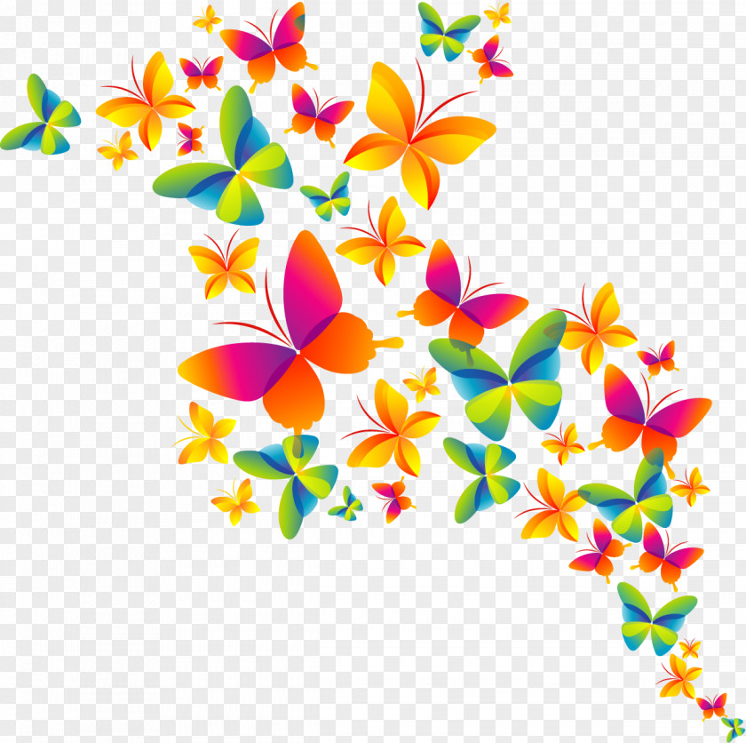 Happy Holi Butterfly CMYK Color Model PNG