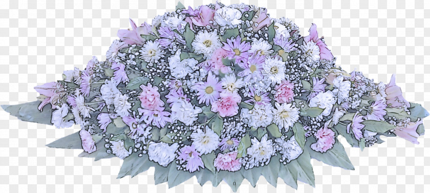 Hydrangea Flowering Plant Lavender PNG