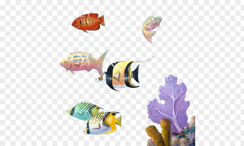Cba Marine Biology Fish PNG