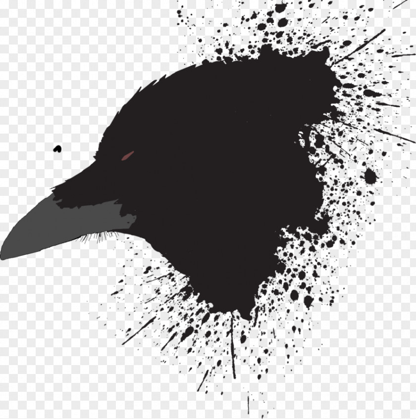 Crow Zero Black And White Beak Graphics Video Image PNG