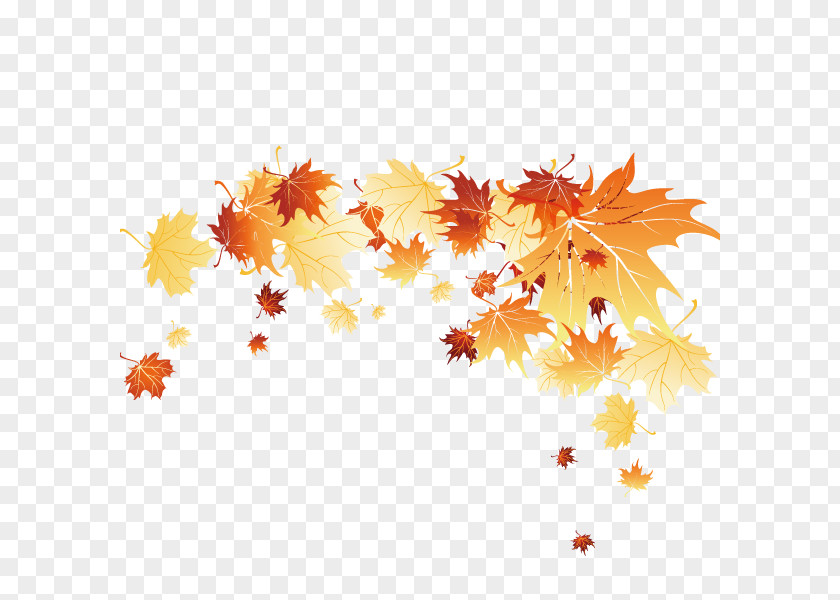 Fall,Leaves,decoration Leaf Autumn Computer File PNG