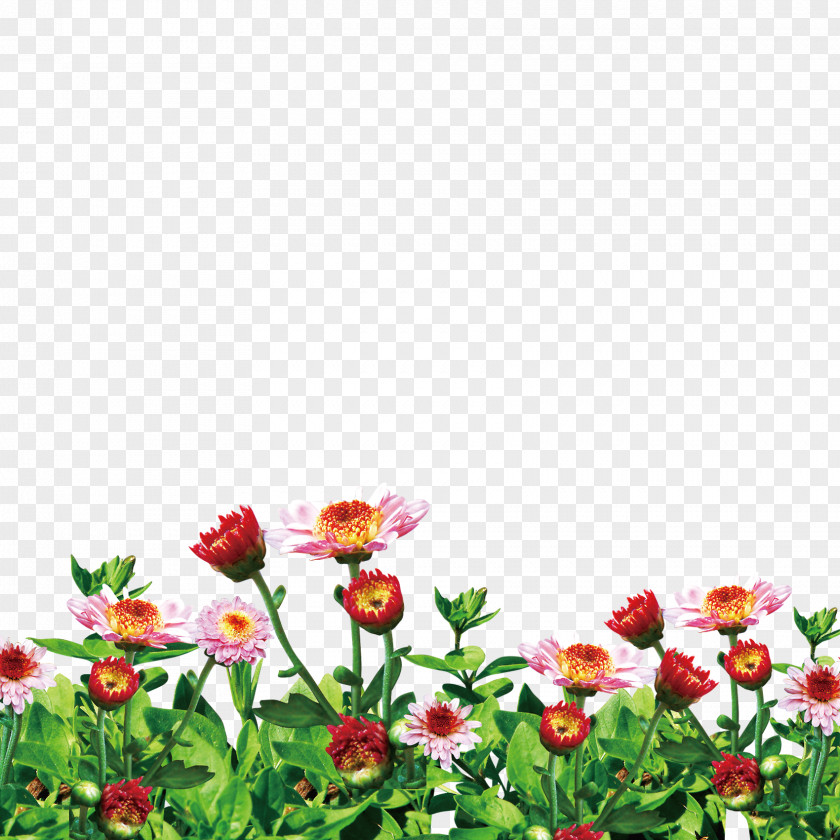 Flower Garden Image Clip Art PNG