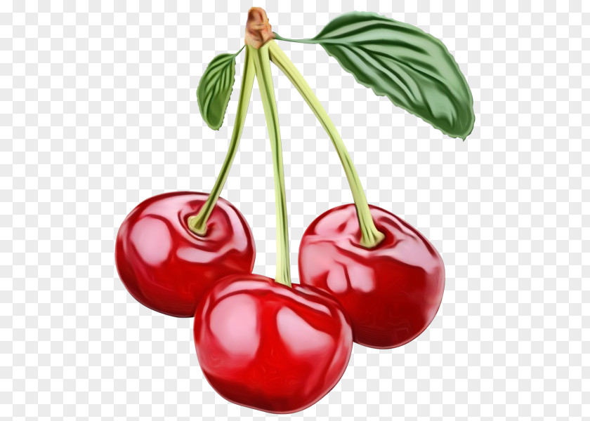 Flowering Plant Woody Cherry Fruit Natural Foods Food PNG