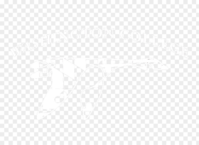 Line White Angle PNG