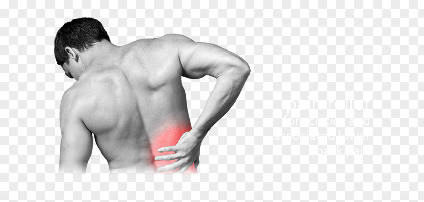 Back Pain Spinal Disc Herniation Abdominal Tenderness Rib Vertebral Column PNG