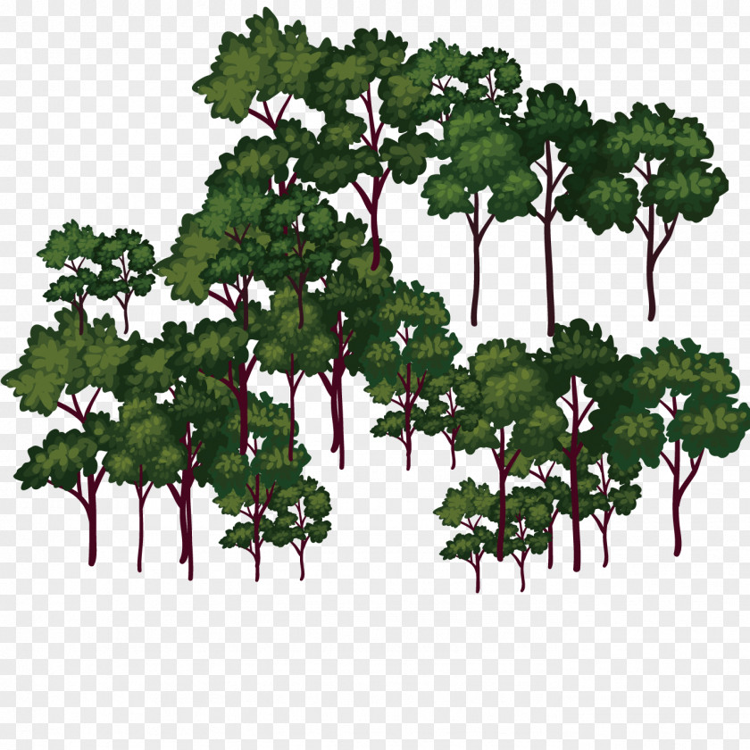 Daxinganling Forest Vector Material Shulin District PNG