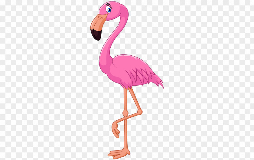 Flamingo Cartoon Clip Art PNG