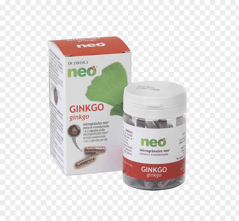 Ginkgo-biloba Ginkgo Biloba Ginkgoaceae Medicinal Plants Herb Capsule PNG