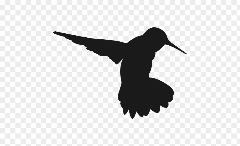 Humming Bird Hummingbird Silhouette Clip Art PNG