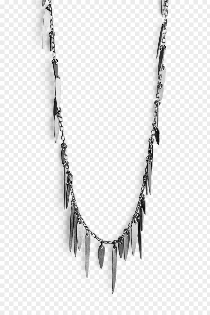 Necklace Silver PNG