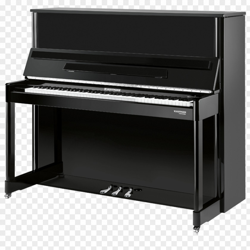 Piano Upright Steinway & Sons Player Petrof PNG