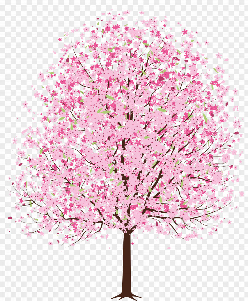 Pink Spring Deco Tree Clipart Cherry Blossom Clip Art PNG