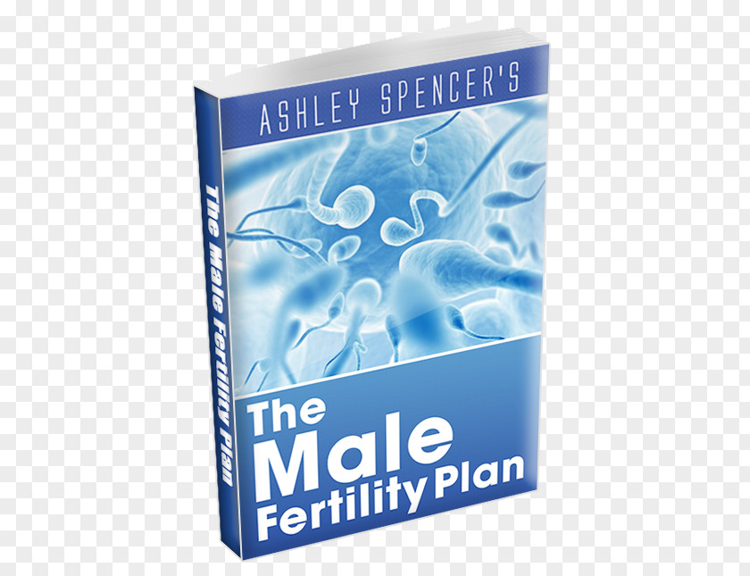 Pregnancy Fertility Oligospermia Cure Erectile Dysfunction PNG