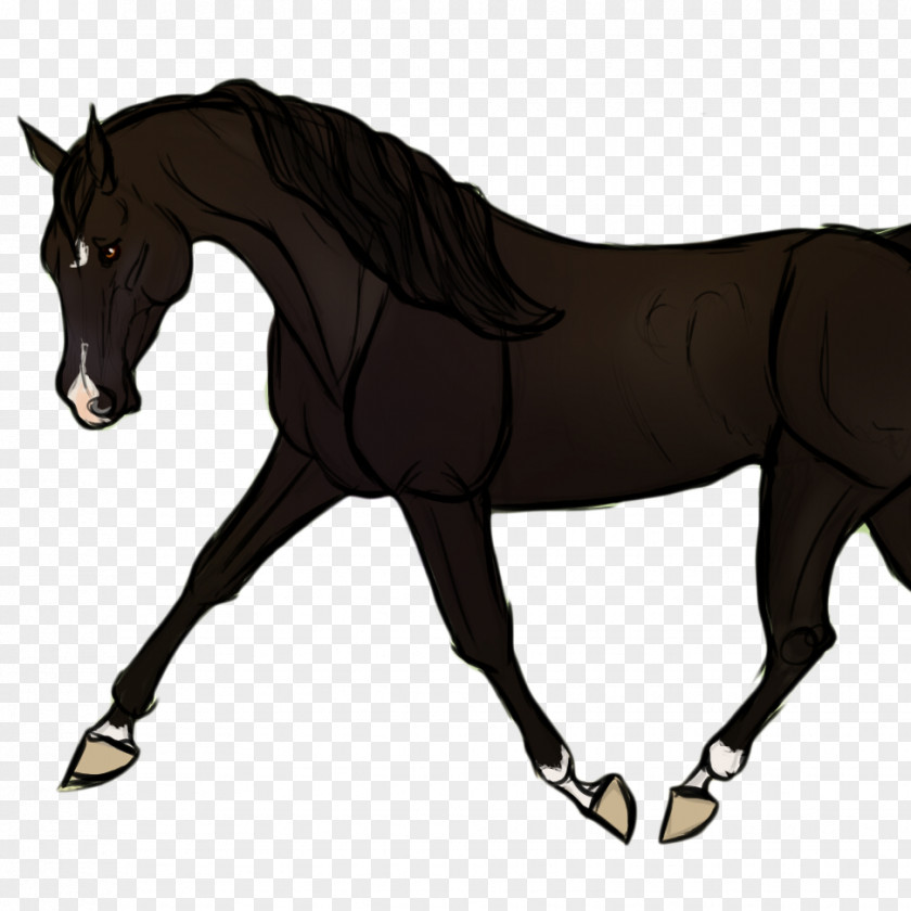 Trojan Horse Mustang Dog Foal Stallion Pony PNG