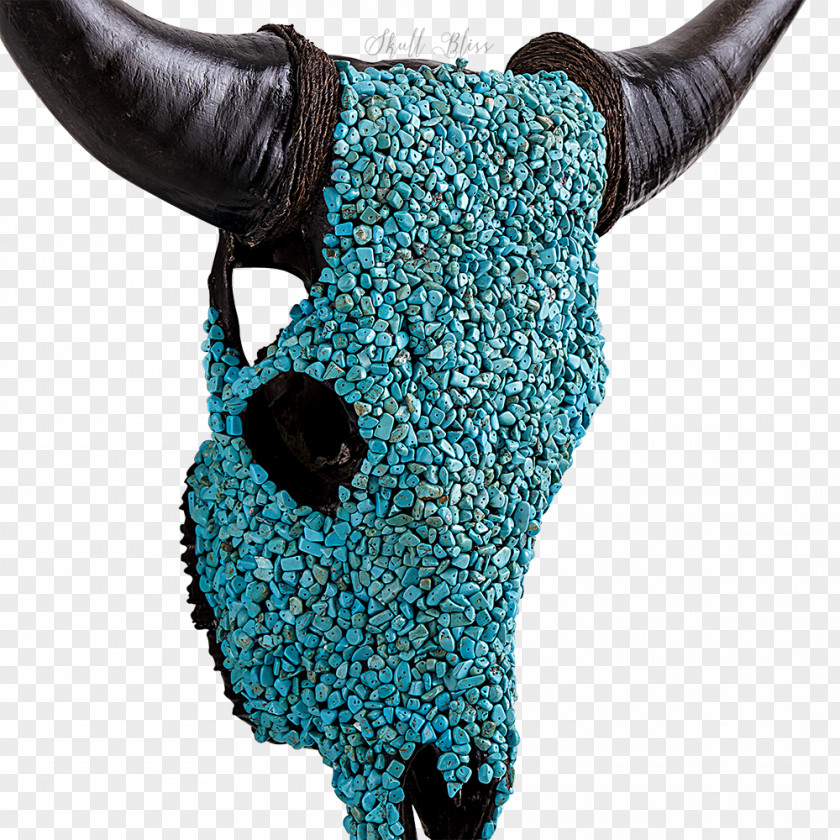 Turquoise Cattle Skull Color Gemstone PNG