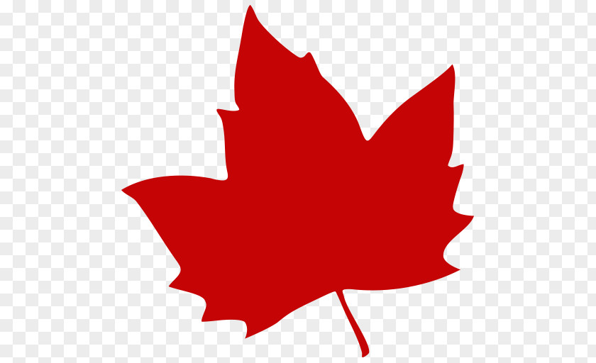 Canada Maple Leaf Clip Art Image PNG
