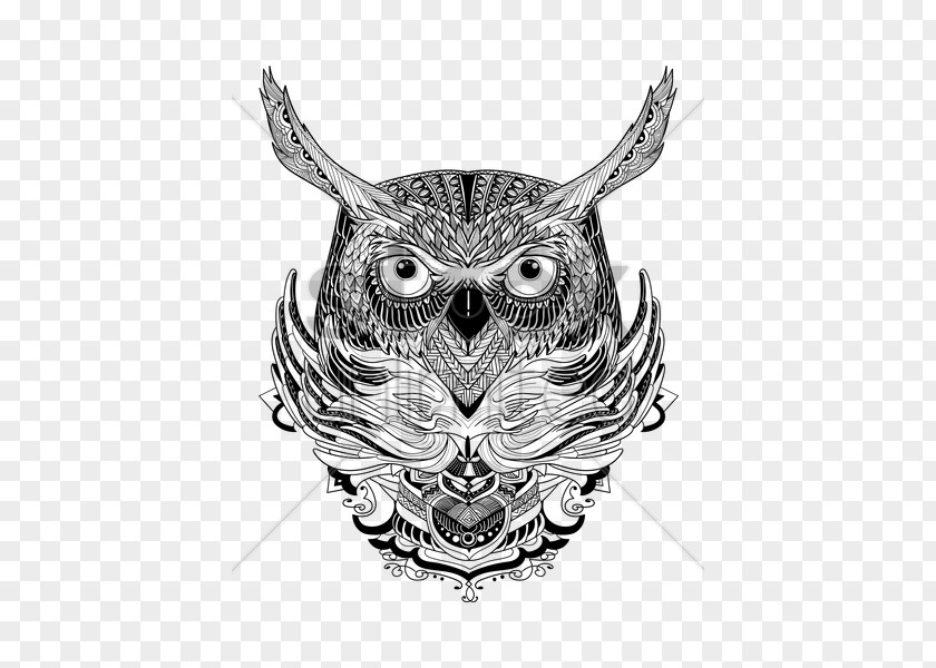 Intricate Design Owl Visual Arts Beak Sketch PNG