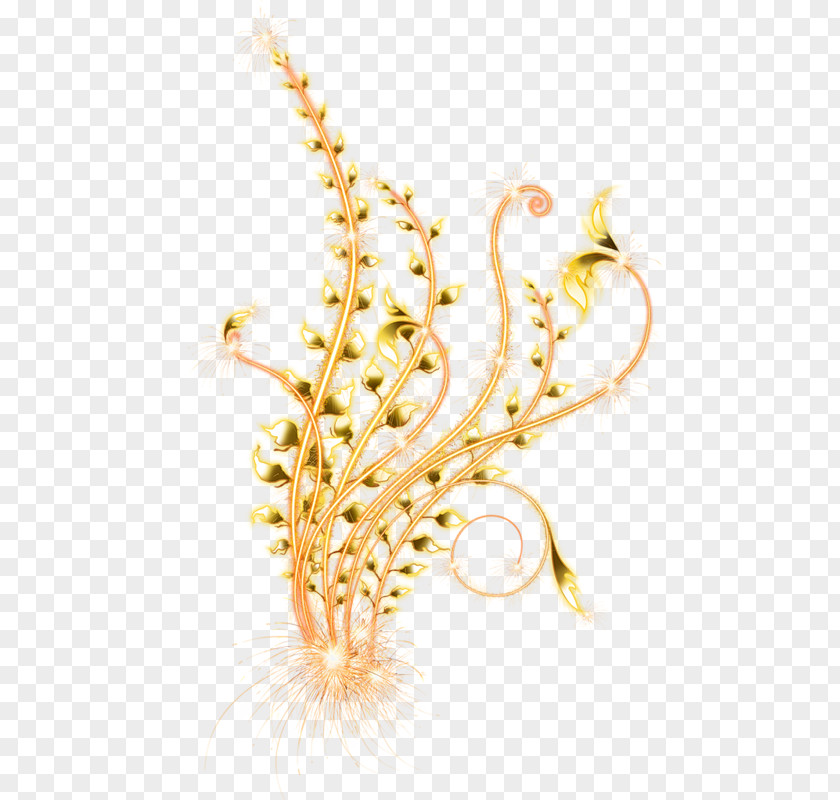 Jewellery Body Grasses Cereal Grain PNG