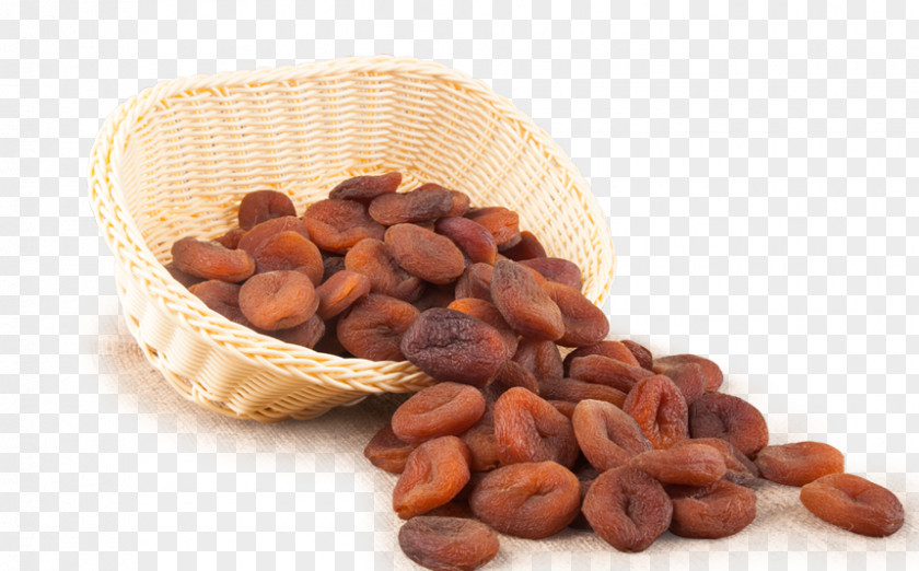 Apricot Dried Fruit Malatya Kernel PNG