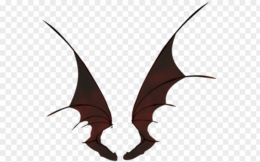 Bat Wing Development Drawing Art PNG