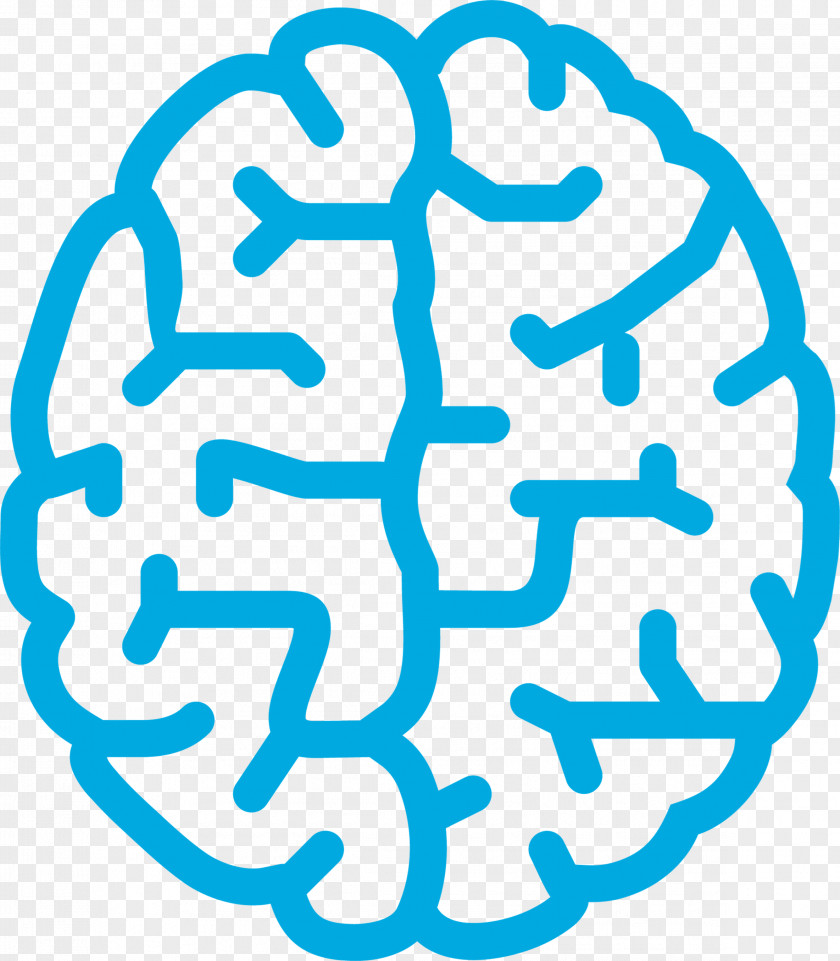 Brain Brain-derived Neurotrophic Factor Esdevium Games Cortex Challenge Connectome PNG