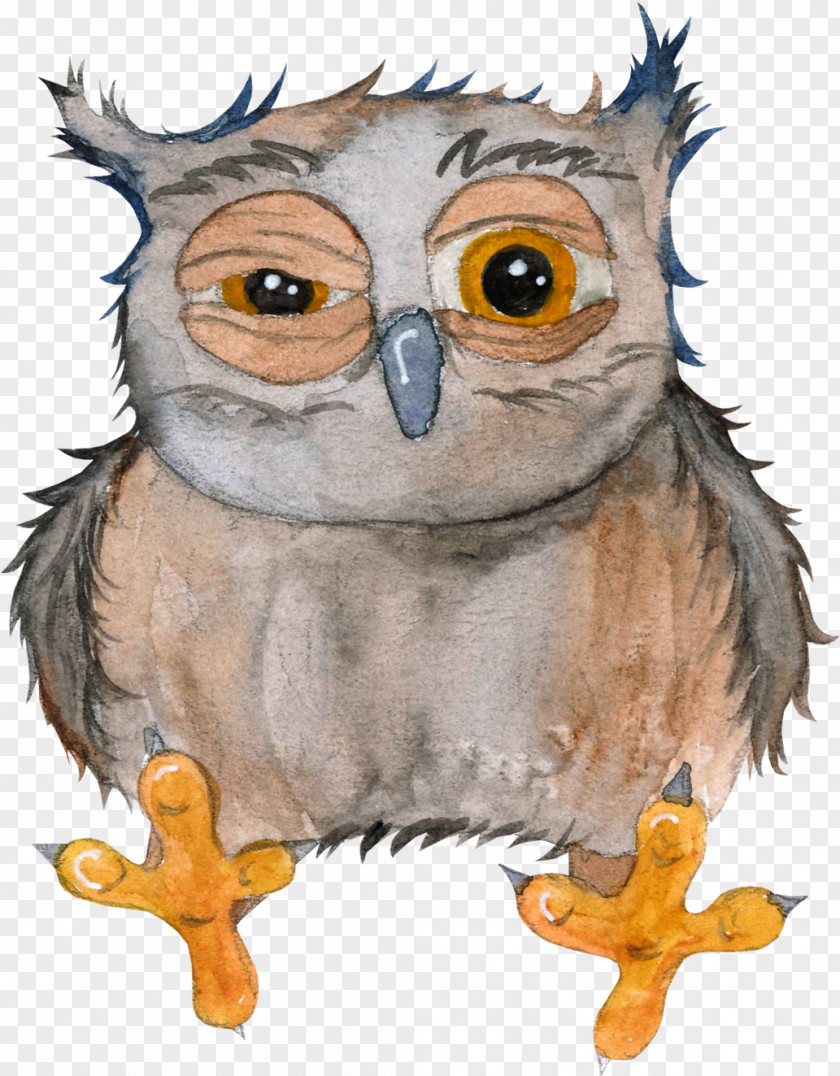 Hand-drawn Cartoon Owl Drawing PNG
