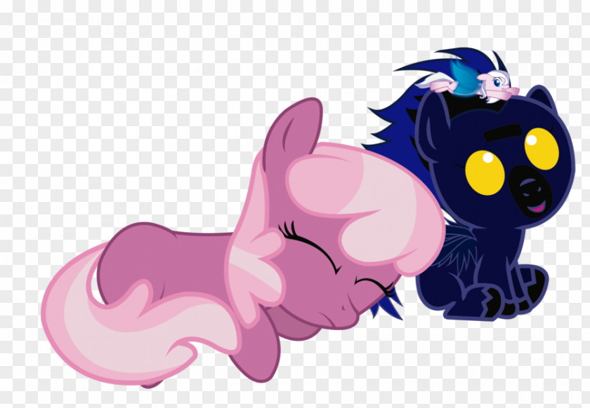 Kitten Whiskers Horse Pony Cat PNG