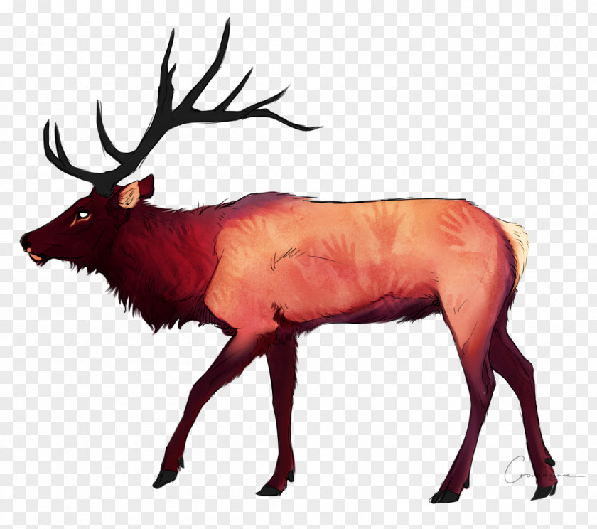 Reindeer Elk DeviantArt PNG