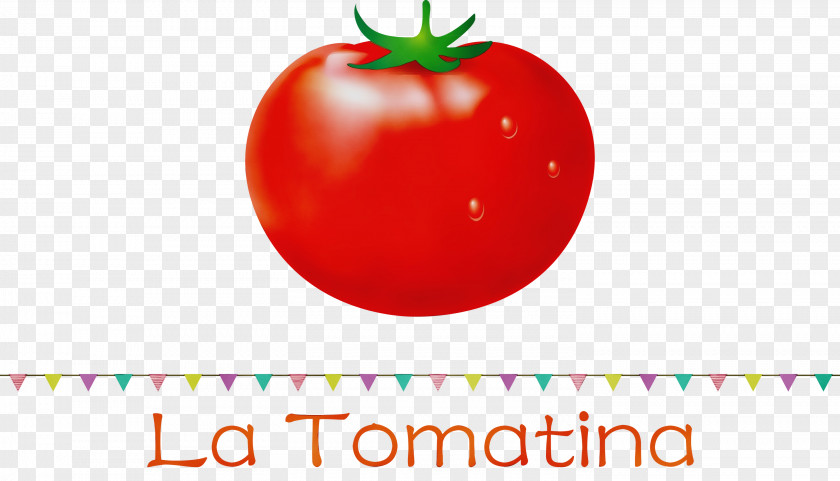 Tomato PNG