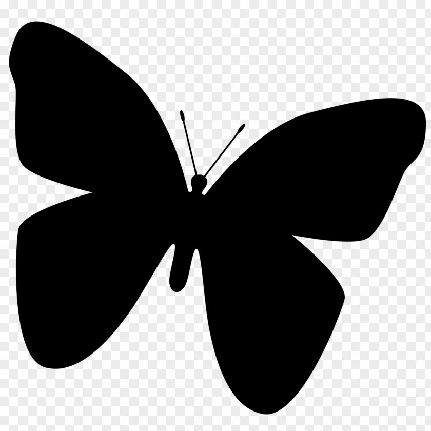Butterfly Wings Silhouette Clip Art PNG