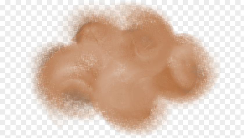 Cloud Snout Fur Close-up PNG