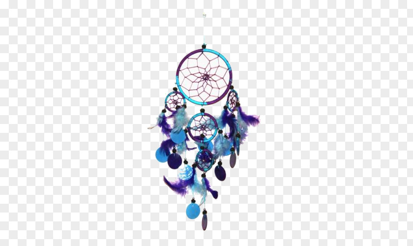 Dreamcatcher Turquoise Blue Color Violet PNG