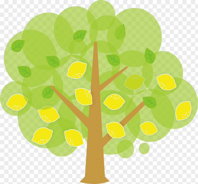 Green Yellow Leaf Tree Plant PNG