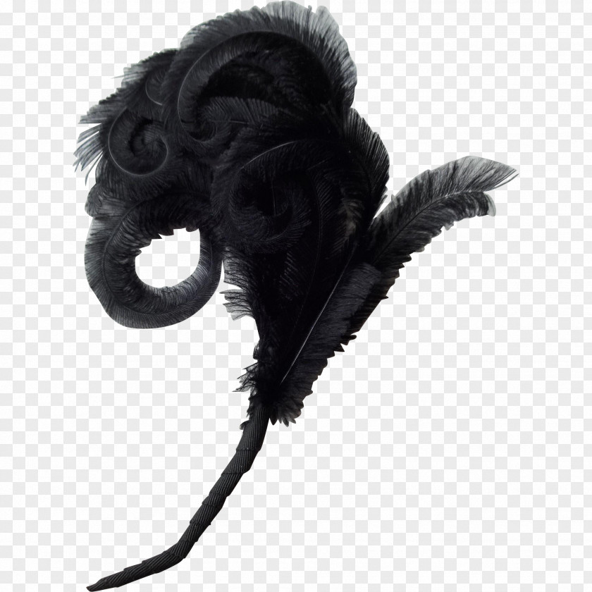 Hat Victorian Era Hatmaking White Feather PNG