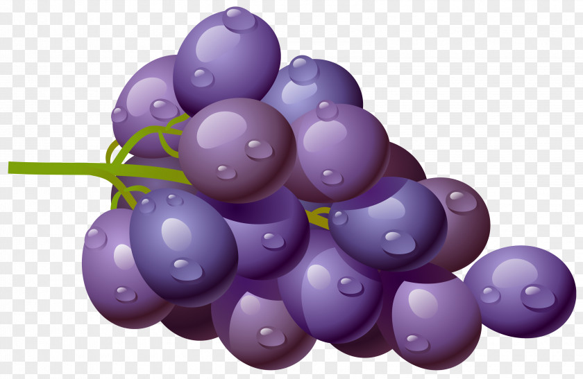 Purple Cliparts Free Grape Fruit Clip Art PNG