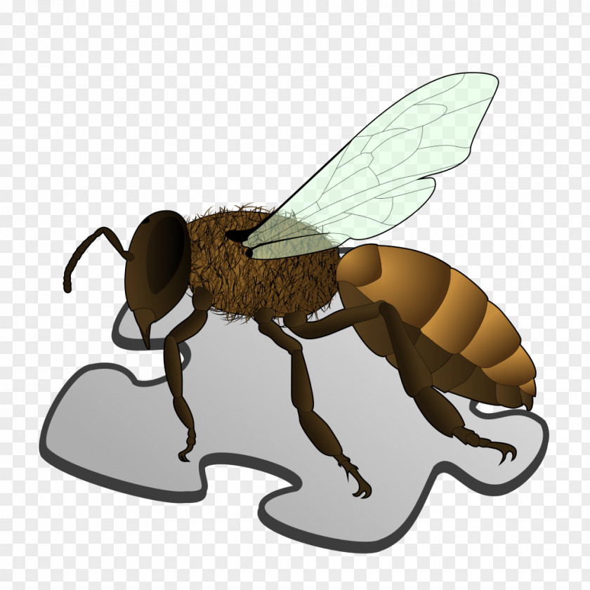 Stub Queen Bee Anatomy Worker Sting PNG