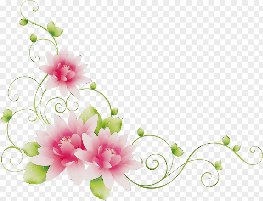 Blossom Petal Floral Design PNG
