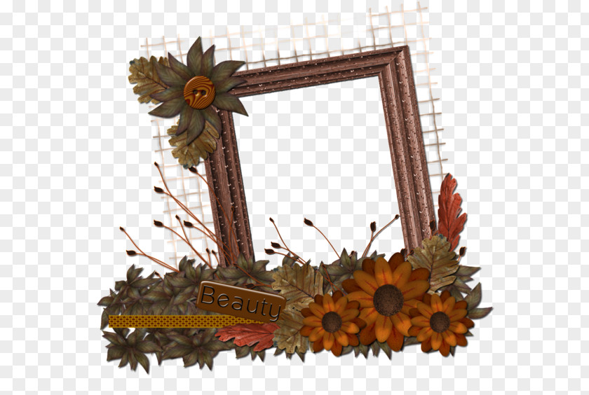 Cadre Dentreprise Picture Frames Giving Thanks Photography PhotoFiltre PNG