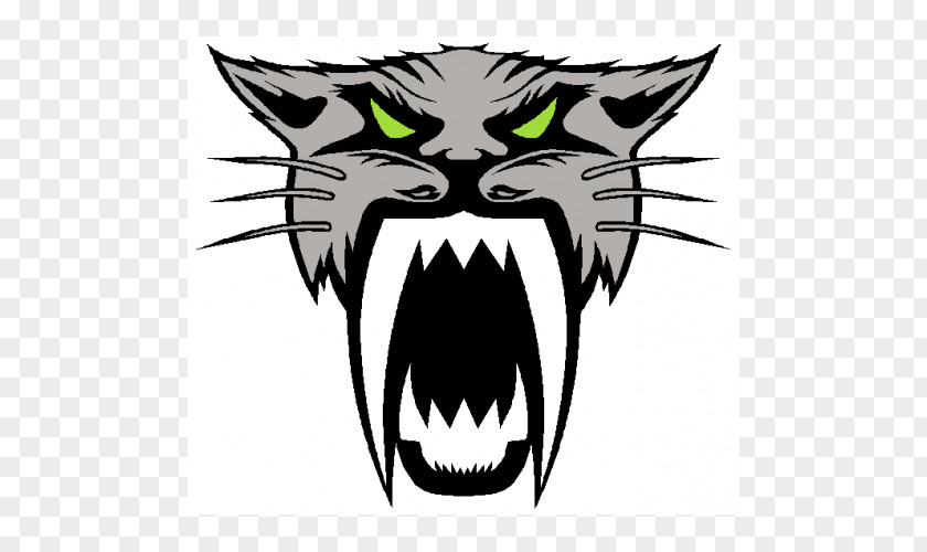 Car Arctic Cat Decal Sticker PNG