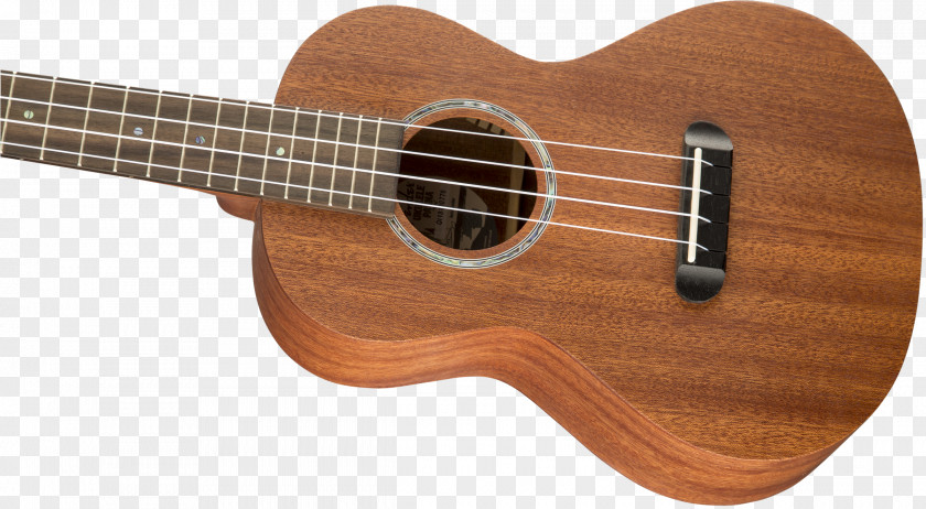 Guitar Ukulele Neck Fender Musical Instruments Corporation Fingerboard PNG
