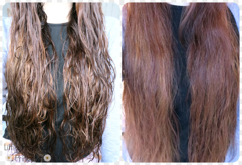Hair Long Brown Coloring Black PNG
