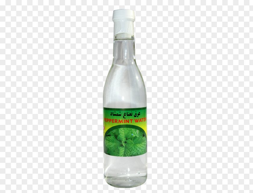 Mint Water Drink Peppermint Food Liquid Juice PNG