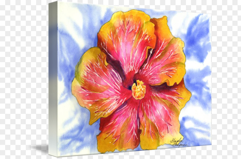 Painting Hibiscus Watercolor Floral Design Art PNG