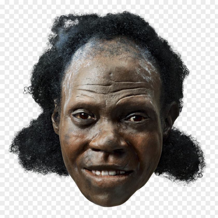Reconstruction Neandertal Early Human Migrations Anatomically Modern Face Upright Man PNG