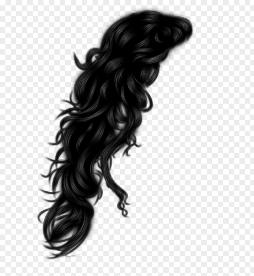 Hair Afro-textured Clip Art Image PNG