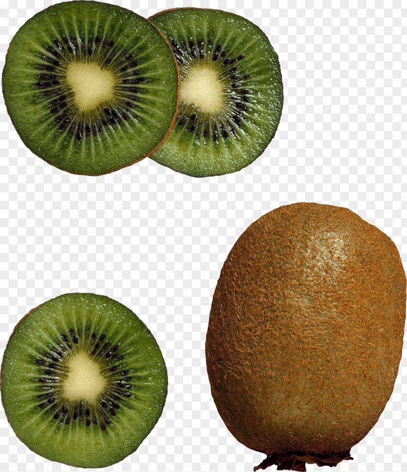 Kiwi Image Fruit Pictures Download Kiwifruit Salad Clip Art PNG