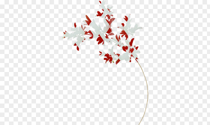 Leaf Twig Floral Design Cut Flowers Plant Stem PNG