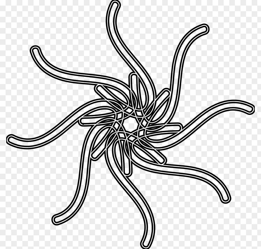Line Art Drawing Clip PNG