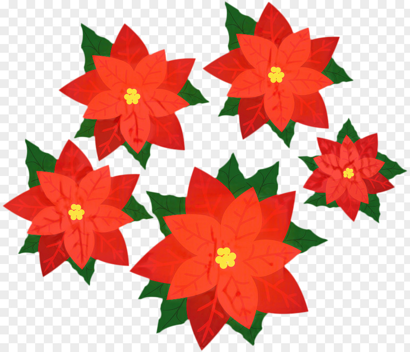 Plant Poinsettia Christmas PNG